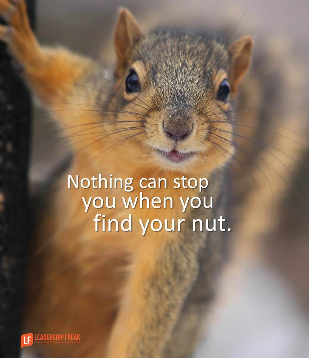 How to Find Your Nut - Leadership Freak